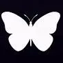 Kirigana Fairies